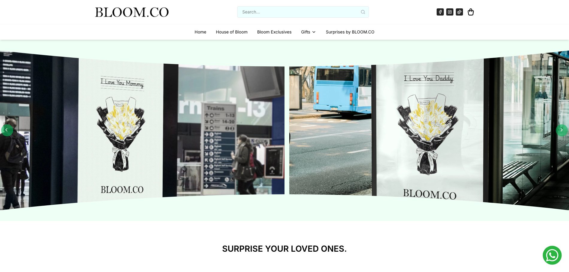 Bloom.co preview